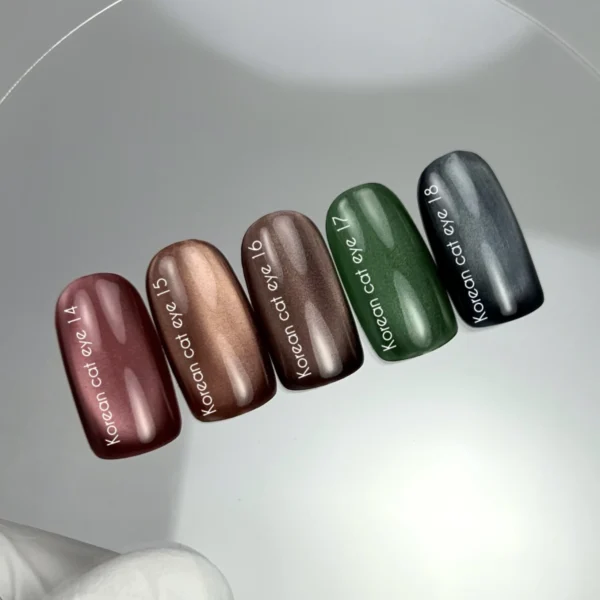 NAILSOFTHEDAY Korean cat eye 17, 10 ml - Obrázek 2