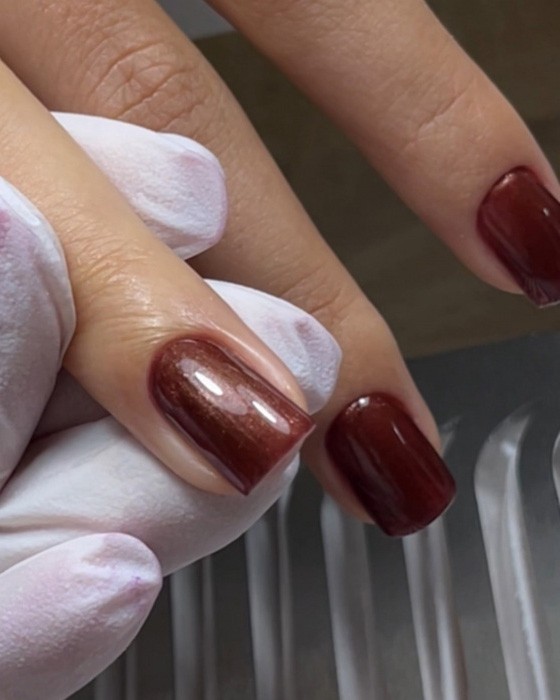 Dark Gel Polish, 6 ml - 158 obrázek 3 Dark Gel Polish, 6 ml - 158 - Obrázek 3