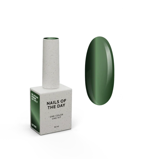 NAILSOFTHEDAY Korean cat eye 17, 10 ml
