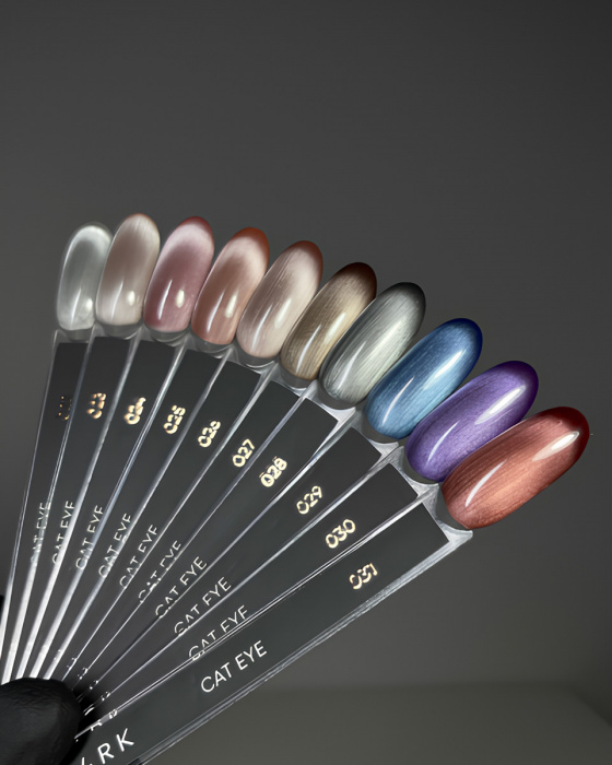 Dark gel polish Cat Eye 24, 10 ml obrázek 2 Dark gel polish Cat Eye 24, 10 ml - Obrázek 2